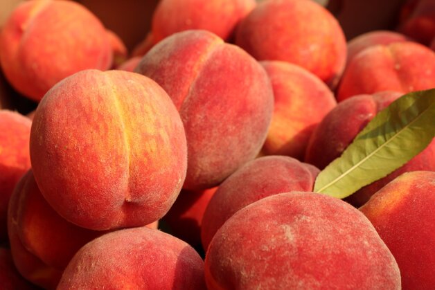 Health benefits of peach